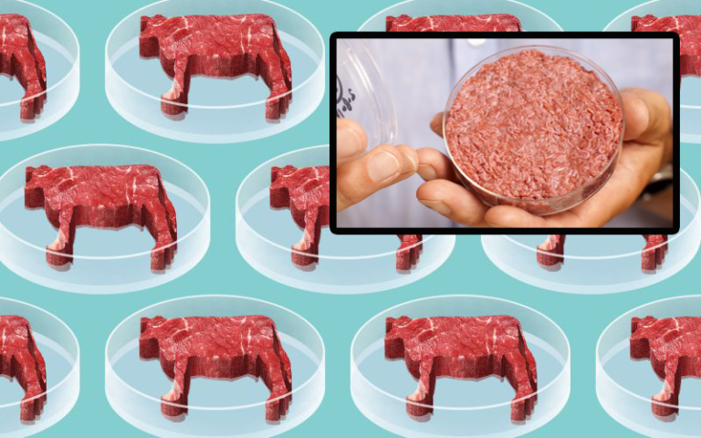 real-lab-grown-meat-products-quietly-approved-by-fda-and-usda