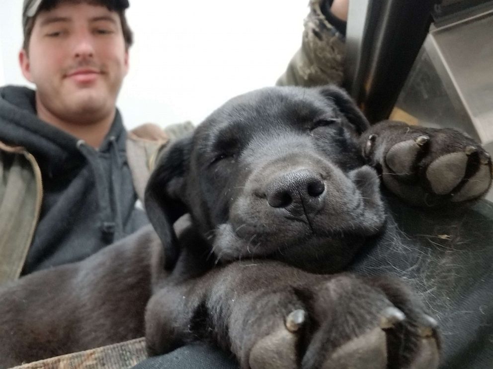 Deaf Man Adopts Deaf Shelter Puppy and Teaches Him Sign Language